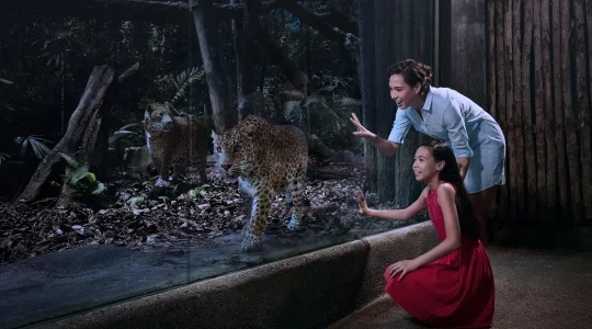 ナイトサファリ_アニマルトレイル